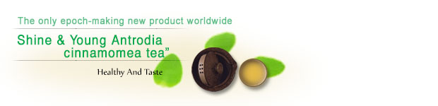 全球唯一劃時代新產品-Shine & Young Antrodia cinnamomea tea